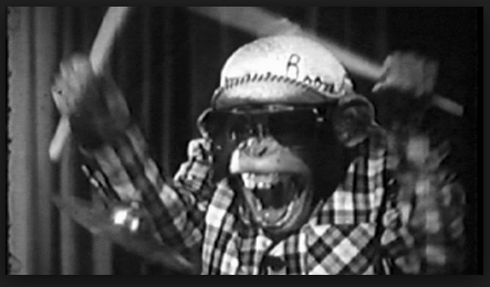 Monkey playing the drums